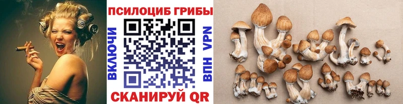Псилоцибиновые грибы Psilocybe  Балаково 