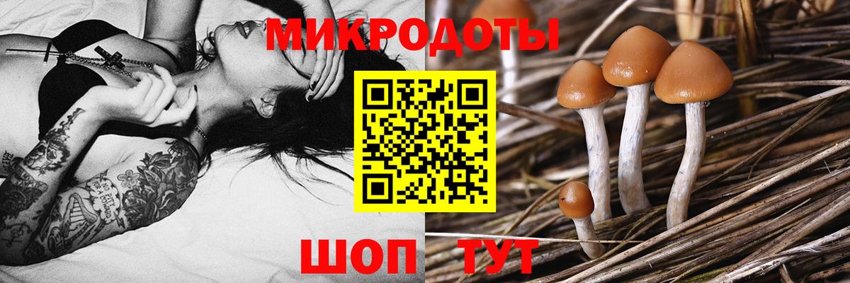 Псилоцибиновые грибы MAGIC MUSHROOMS Балаково